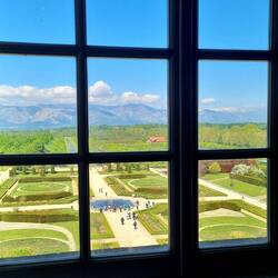 Blick in den Garten ...