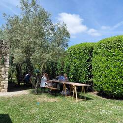 A French BBQ for lunch under the olive trees