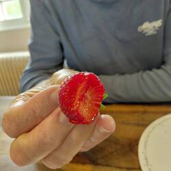 The strawberries in France are red all the way through! and so sweet too!