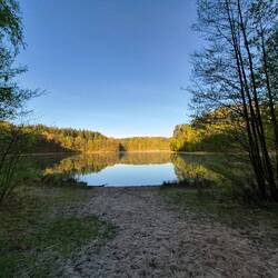 pinnsee