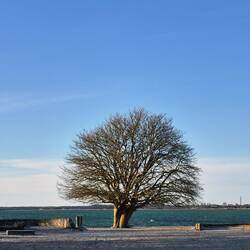 klagshamn