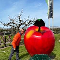 Er ist einfach zu gross - der Apfel 😄