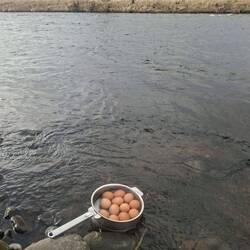 Comment faire refroidir ses œufs juste après la cuisson ?