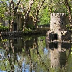 Even the ducks live in castle