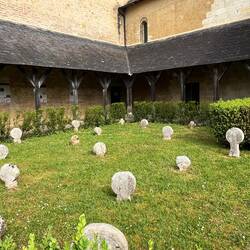 Not sure what these are - at an old hospital