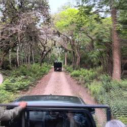 The best track in the jungle