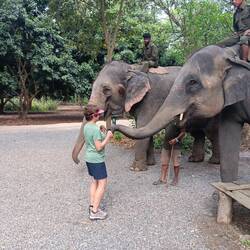 Anna handing a treat to the 25 yr old elephant
