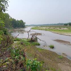 Looking downriver. Sloth bear crossed here