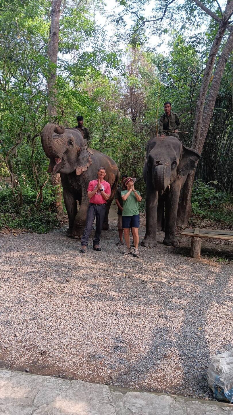 Joining the elephants with a Namaste greeting
