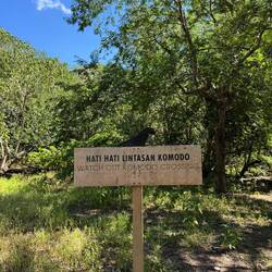 Las señales de tráfico de aquí ⚠️