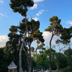 Lieblingsort: Retiro-Park