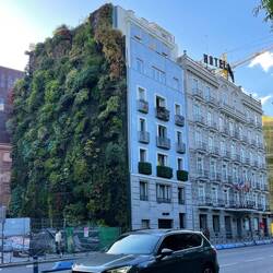 Hausfassade mit vertikalem Garten