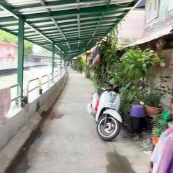 Balade le long des klongs...