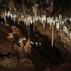 die Höhle liegt an der "Cave Road", 110km lange Touri-Strasse gleich mit mehreren Höhlen