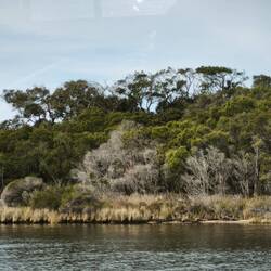 mit dem Boot etwas den Blackwood River hoch, mit 400km längster Süd-West-Australiens...