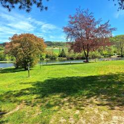 Blick auf den "Teich"