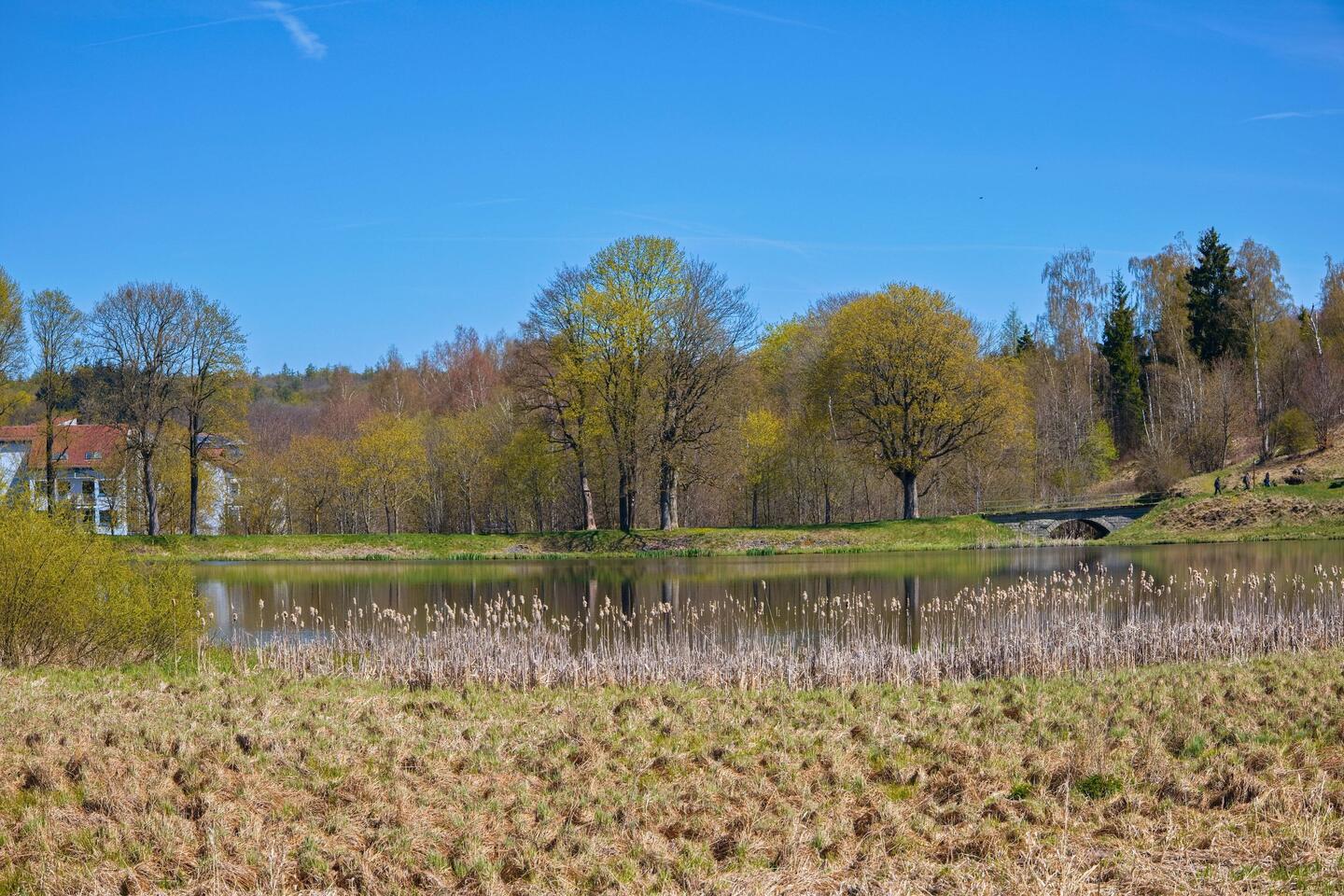 Oberer Teich