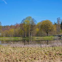 Oberer Teich