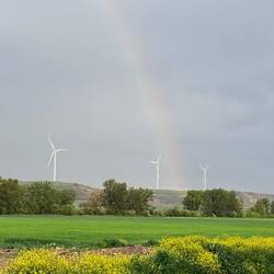 Rain is coming!