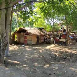 Descubriendo la isla