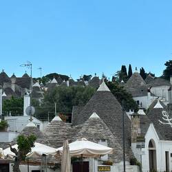 ... und es gibt wirklich viele Trulli ...