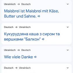Translation Tool funktioniert für so Gespräche am Tisch eher suboptimal