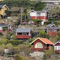 Schrebergärten in Stockholm