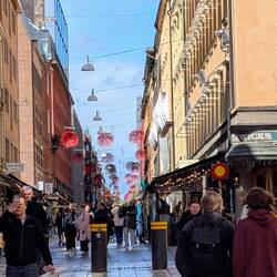 Trotz Kälte: Menschenmassen in der Gamla Stan