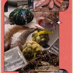 Fischdelikatessen in den Markthallen