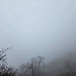 So much fog!
