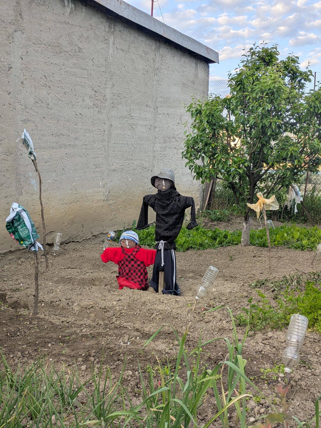 Andrew and I were turned into scarecrows by a witch.