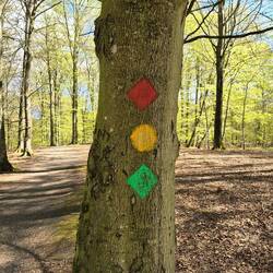 hier können sich die österreicher eine scheibe abschneiden, super markierte wanderwege