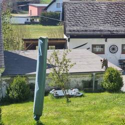 Lieber das Wildschwein auf dem Dach, als den Wolf im Haus.... oder so war doch das Sprichwort