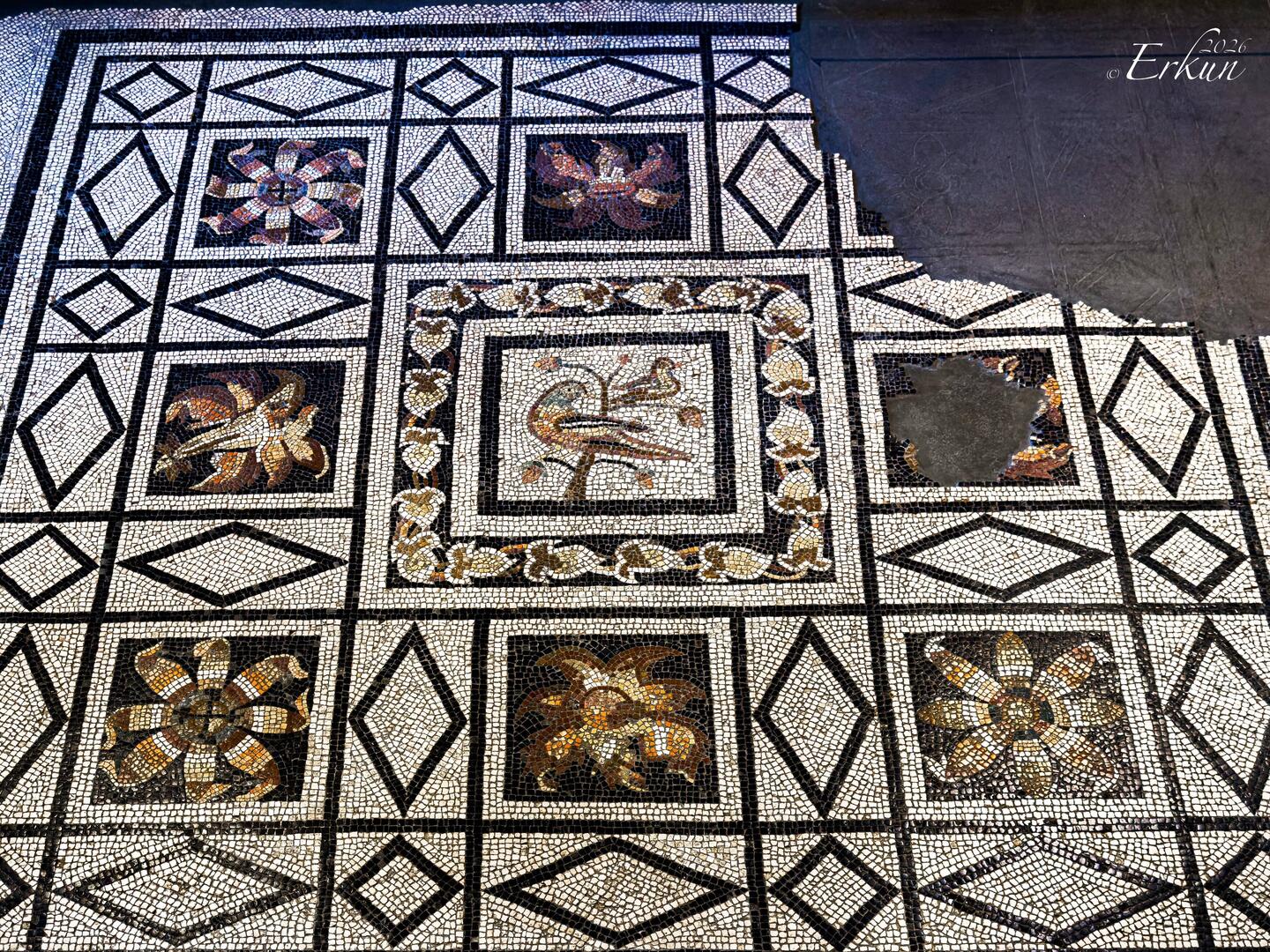 Opus Tessellatum mosaic floor (1st century).