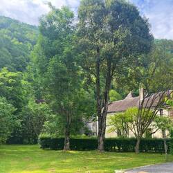 Garden behind monastery