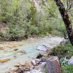 Soča