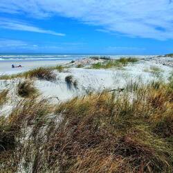 Little Talbot Island St. P.