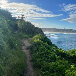 Coastal Walk von Dee Why nach Curl Curl