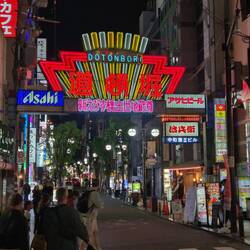Dotonbori Night Life....hier steppt der Bär mal so richtig.