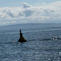 Some kind of private buoy.