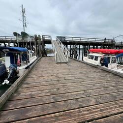 Whiterock customs dock