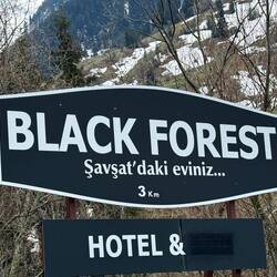 Mention spéciale Schwarzwald 😉