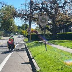 Cruising through Oregon City