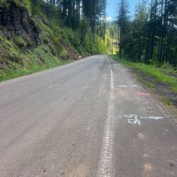Section of bikeway with no cars
