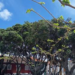 Auf den Weg ins Hospital