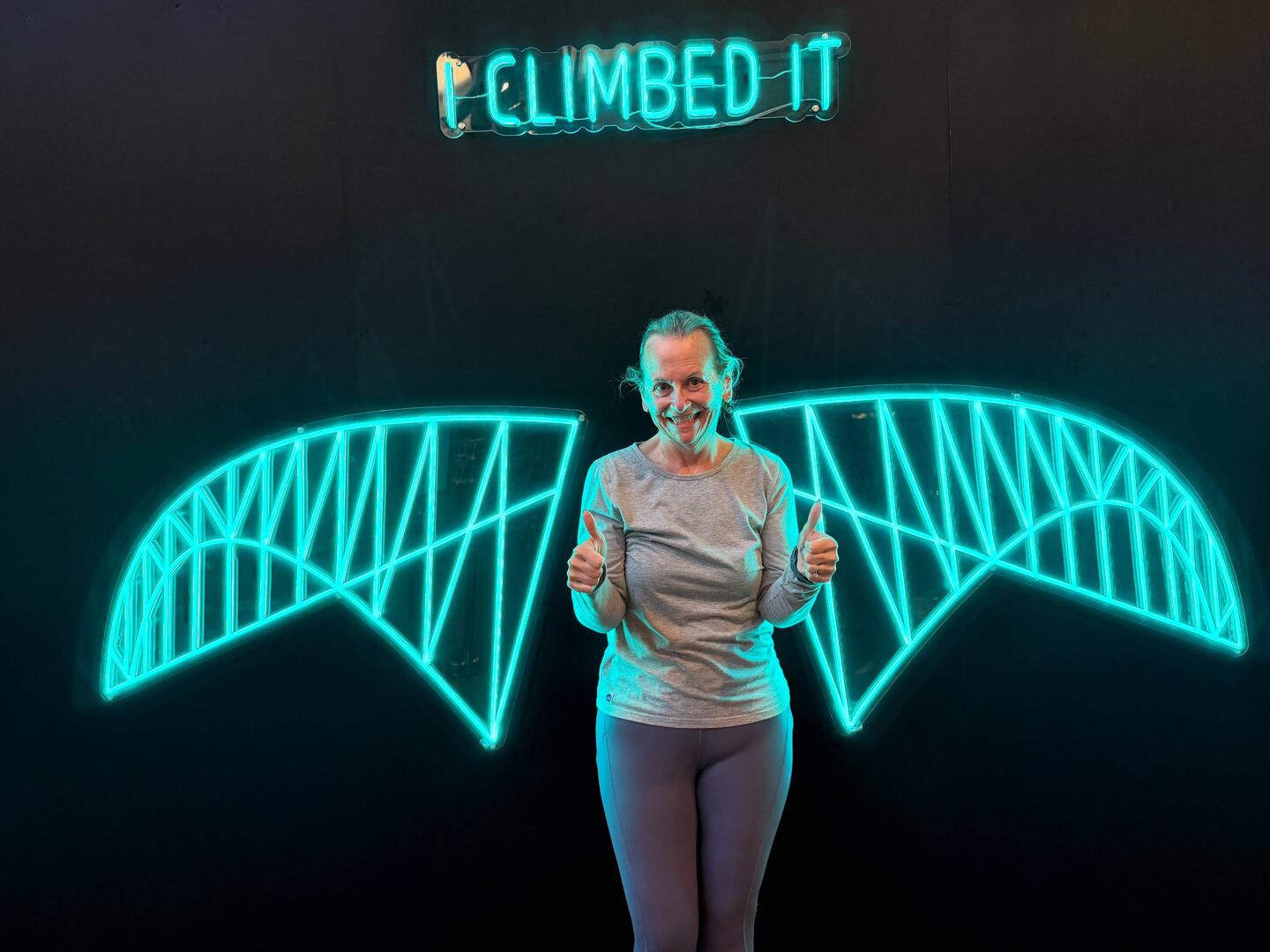 I CLIMBED IT