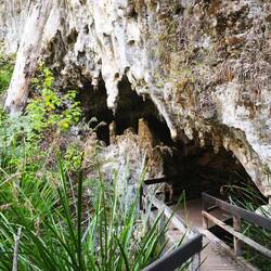 Eingang zur Mammoth Cave