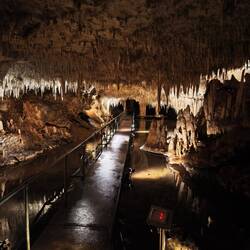 ... in die zauberhafte Höhle