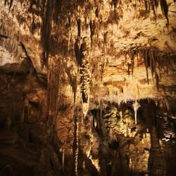 Mammoth Cave