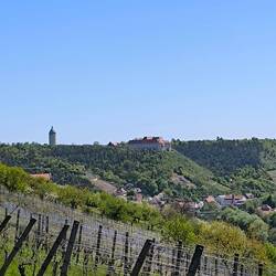 Blick zur Neuenburg